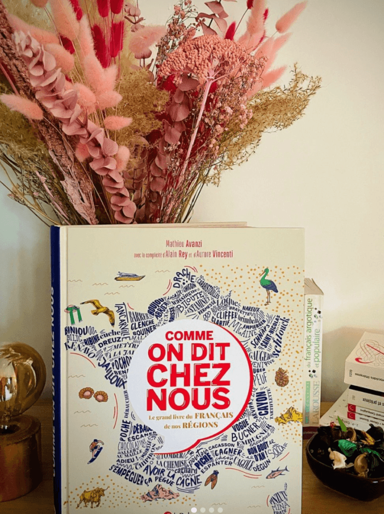 Première de couverture de l'ouvrage Comme on dit chez nous, mis en scène debout devant un bouquet de fleurs séchées roses